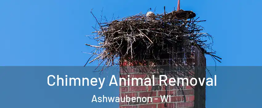  Chimney Animal Removal Ashwaubenon - WI
