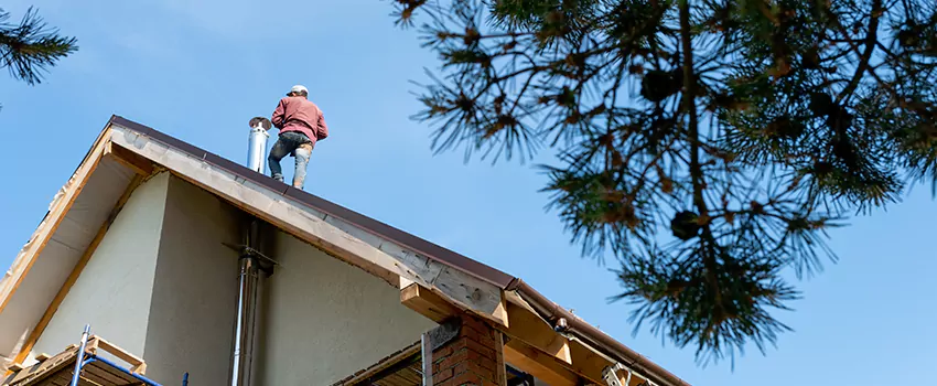 Birds Removal Contractors from Chimney in Ashwaubenon, WI